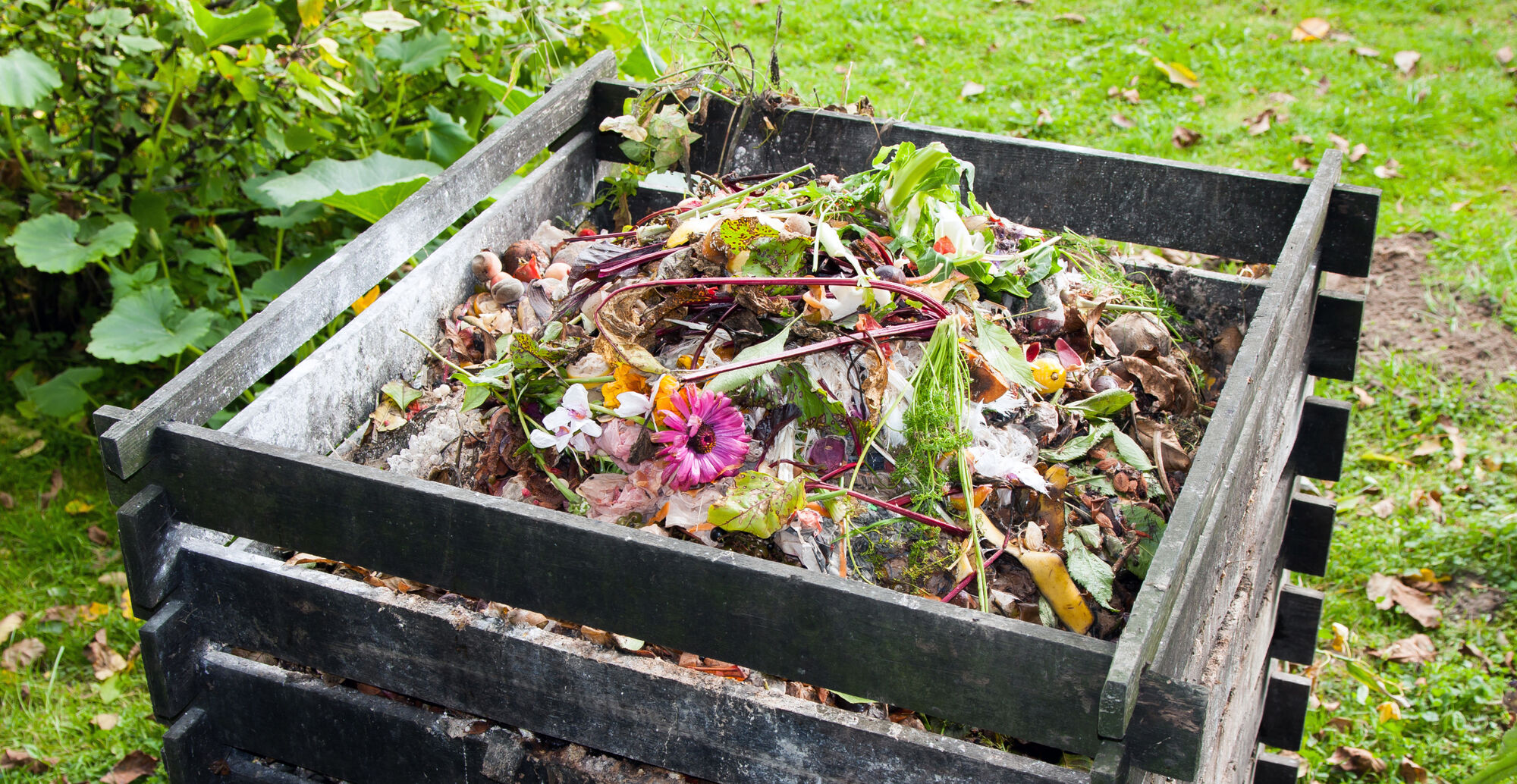 Garten-Kompost: Gib deinem Food Waste ein zweites Leben.