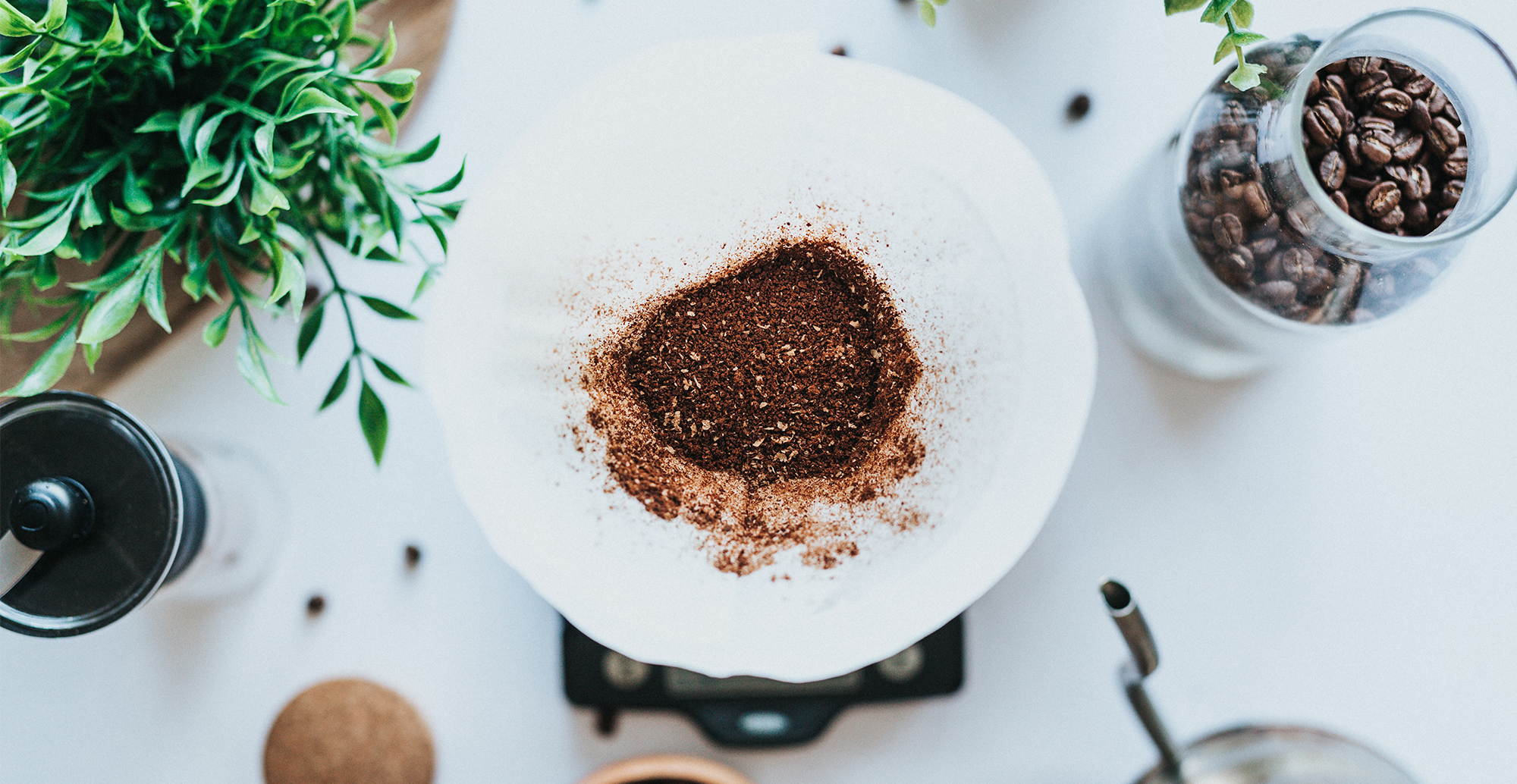 Kaffeesatz im Haushalt wiederbeleben.